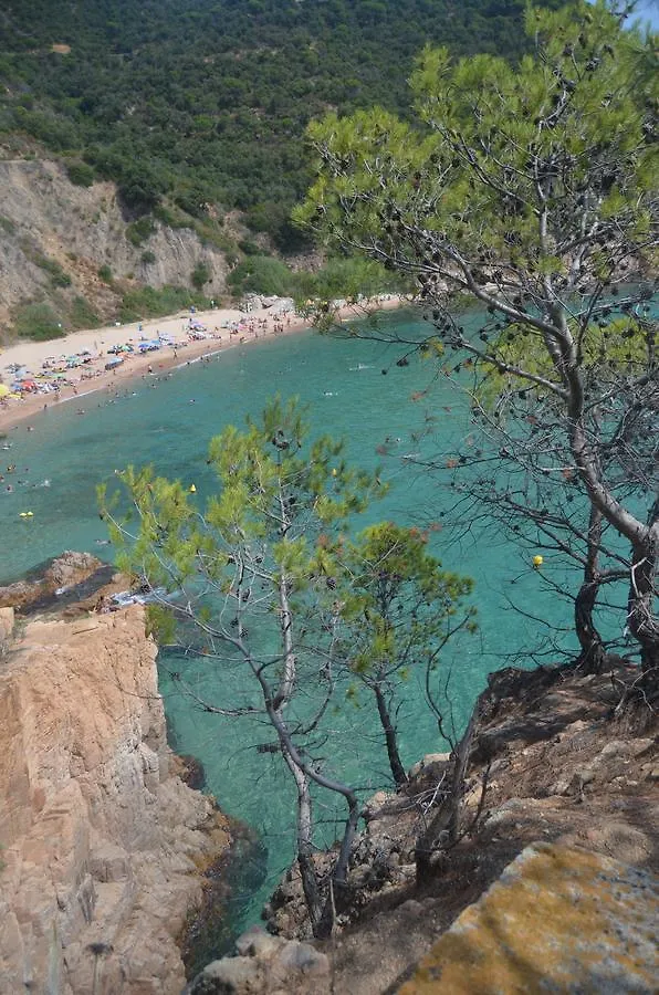 Appartamento Rosamar Santa Cristina d'Aro